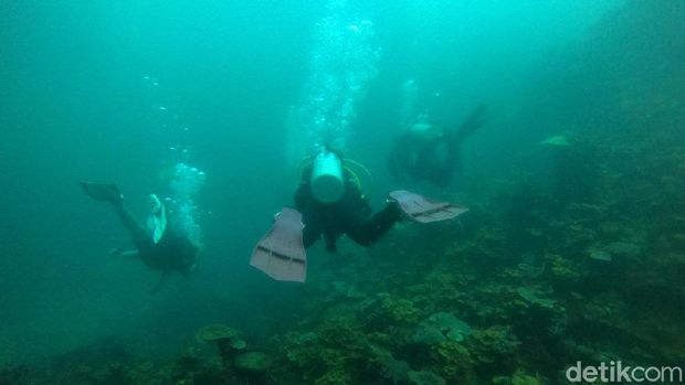Kenalkan Objek Wisata Pulau Bulu Polo'e Bupati Lutim Harap Bisa Dikelola Pemda.