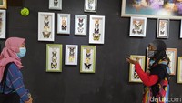 Galeri ini dulunya garasi, sedangkan lokasi penangkaran berada di belakang rumah. Penangkaran ini dilakukan karena rasa keprihatinan pemilik Borobudur Butterfly Edu, Warih Budi Triningsih terhadap keberadaan kupu-kupu yang mulai habis karena predator baik manusia maupun hewan.