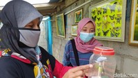 Sebelum adanya pemberlakuan pembatasan kegiatan masyarakat (PPKM) darurat, pengunjung telah banyak yang datang. Seiring adanya PPKM, kemudian destinasi wisata juga tutup. Untuk itu, wisatawan bisa datang dan melihat proses penangkaran kupu-kupu setelah dibuka kembali.