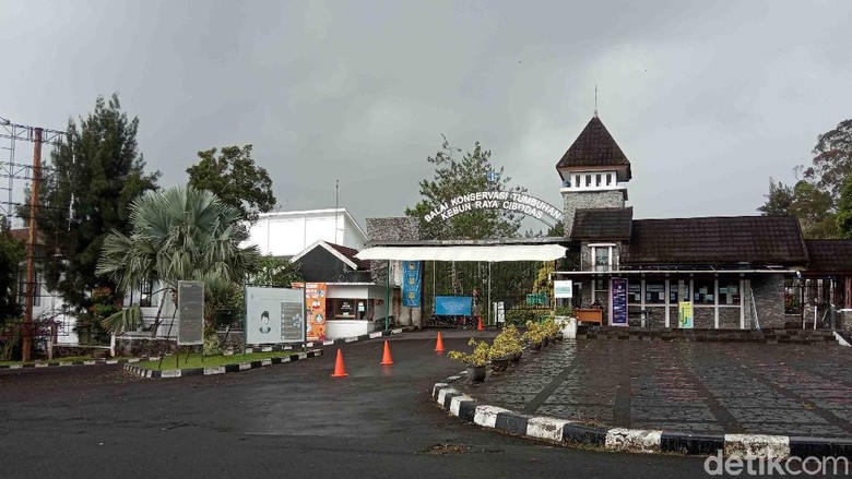 PPKM, Penampakan Puncak bak Kota Mati PPKM, Penampakan Puncak bak Kota Mati