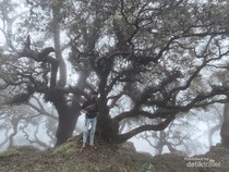 2 Pendaki Hilang di NTT, Mereka Selamat tapi Evakuasi Terhalang Kabut