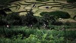Begini Keseriusan Atlet Saat Latihan di Trek Sepeda MTB