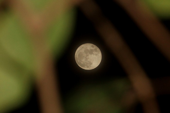 Bulan purnama Rusa terlihat di Desa Lamgapang, Krueng Barona Jaya, Aceh Besar, Aceh, Sabtu (24/7/2021). Fase bulan purnama adalah konfigurasi ketika Bulan terletak membelakangi Matahari dan segaris dengan Bumi dan Matahari. dimana jarak bulan dari bumi (geosentrik) sekitar 364.546 kilometer dan terletak di konstelasi Capricornus yang membentuk sudut 5,1 derajat terhadap ekliptika sehingga setiap fase bulan purnama tidak selalu beriringan dengan gerhana bulan ANTARA FOTO/Syifa Yulinnas/hp.