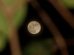 China Mau Bikin Komunikasi Super Tembus Langsung ke Bulan