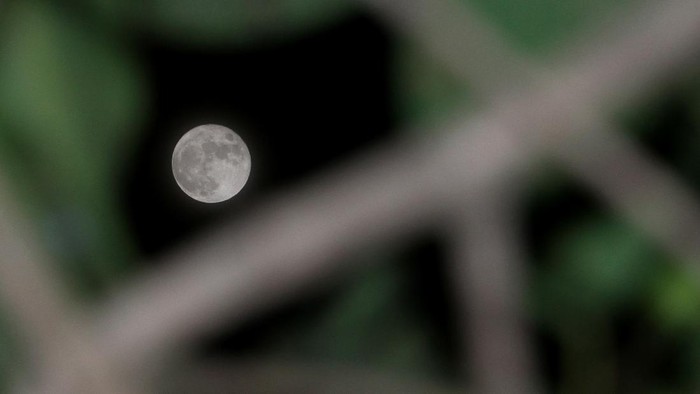 Bulan purnama Rusa terlihat di Desa Lamgapang, Krueng Barona Jaya, Aceh Besar, Aceh, Sabtu (24/7/2021). Fase bulan purnama adalah konfigurasi ketika Bulan terletak membelakangi Matahari dan segaris dengan Bumi dan Matahari. dimana jarak bulan dari bumi (geosentrik) sekitar 364.546 kilometer dan terletak di konstelasi Capricornus yang membentuk sudut 5,1 derajat terhadap ekliptika sehingga setiap fase bulan purnama tidak selalu beriringan dengan gerhana bulan ANTARA FOTO/Syifa Yulinnas/hp.