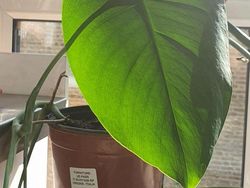 Kumpulan Foto Objek Sekitar yang Menjebak Mata