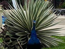 Kumpulan Foto Objek Sekitar yang Menjebak Mata