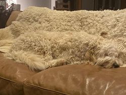 Kumpulan Foto Objek Sekitar yang Menjebak Mata