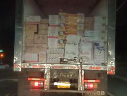 Kumpulan Foto Objek Sekitar yang Menjebak Mata