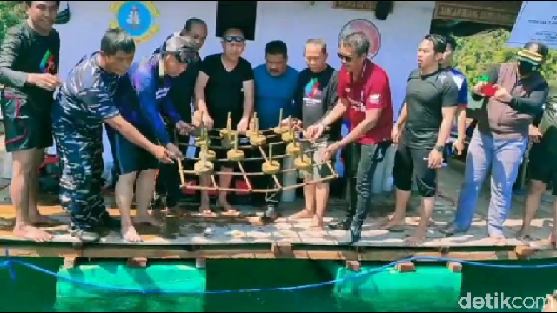 Pulau Bulu Poloe Objek wisata di Luwu Timur.
