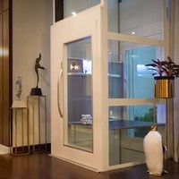 Rumah Airyn Tanu juga dilengkapi sebuah lift untuk memudahkan akses penghuninya. (Foto: YouTube/Boy William)