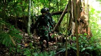 Menurut Dansatgas Pamtas Yonarhanud 16/SBC,  Letkol Arh Drian Priyambodo,S.E, sangat menyayangkan kepada oknum pelaku penebangan liar hutan-hutan di Kalimantan yang dapat menyebabkan ketidak seimbangan ekosistem alam dan terlebih kawasan yang dijadikan pembalakan liar adalah kawasan hutan lindung yang dijadikan rumah bagi hewan endemi Kalimantan. 