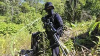 BNN menyatakan ganja yang ditanam tersebut diperkirakan berusia sekitar empat sampai lima bulan dengan jumlah tanaman mencapai 20.000 pohon dan berat tanaman basah diperkirakan mencapai 15 ton. (Syifa Yulinas/Antara)