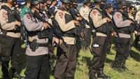 Setelah apel gabungan tersebut, seluruh personel bergegas mengayunkan langkah kaki menelusuri jalan setapak dengan jarak tempuh perjalanan sekitar empat sampai lima jam menuju lokasi ladang ganja siap panen di kaki Gunung Seulawah Agam dan di kaki Gunung Leuser Aceh.(Syifa Yulinas/Antara)