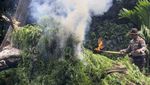 Memberantas Ladang Ganja di Kaki Gunung Leuser