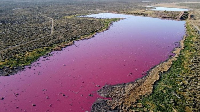Danau Corfo di Argentina