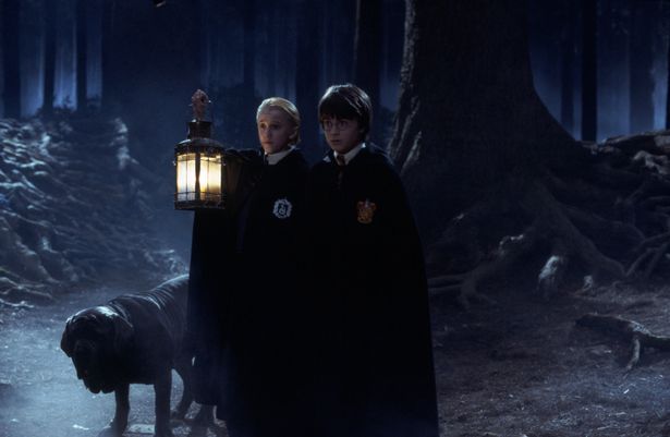 Hutan Terlarang Harry Potter