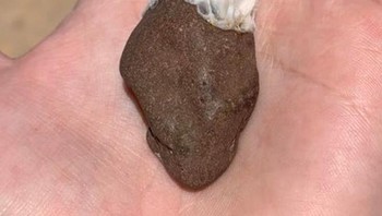 Batu berbentuk jantung dengan arteri karang yang ditemukan di pantai. Foto: Brightside