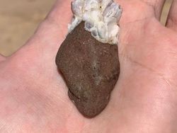 Kumpulan Potret Fenomena Alam yang Unik Tanpa Editan