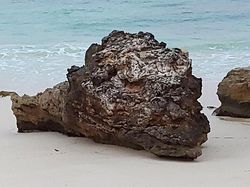 Kumpulan Potret Fenomena Alam yang Unik Tanpa Editan