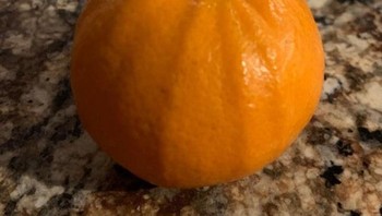 Penampakan jeruk seperti labu. Foto: Brightside