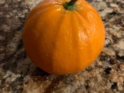 Kumpulan Potret Fenomena Alam yang Unik Tanpa Editan