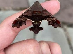 Kumpulan Potret Fenomena Alam yang Unik Tanpa Editan