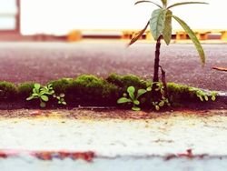 Kumpulan Potret Fenomena Alam yang Unik Tanpa Editan