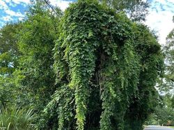 Kumpulan Potret Fenomena Alam yang Unik Tanpa Editan