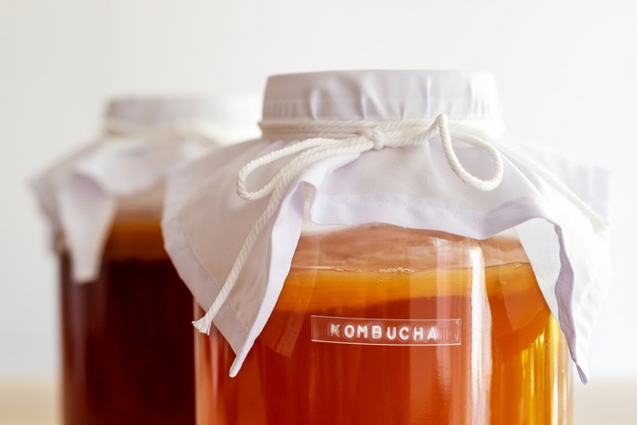 Scoby Teh Kombucha Fakta Scoby, Jamur dalam Pembuatan Kombucha yang Tren di TikTok