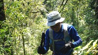 suasanan trek hutan puncak Halimun