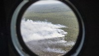 Asap mengepul dari lahan yang terbakar.