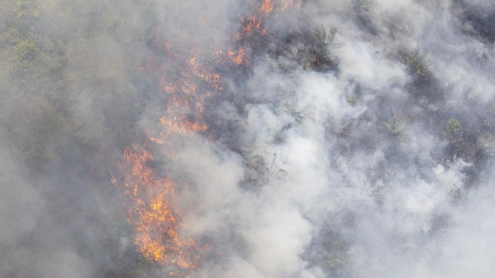 UPAYA PEMADAMAN KEBAKARAN LAHAN DARI UDARA Helikopter MI-18Mtv milik Badan Nasional Penanggulangan Bencana (BNPB) melakukan pemadaman kebakaran lahan dari udara (water bombing) di perkebunan kelapa sawit di Pedamaran, Ogan Komering Ilir (OKI), Sumatera Selatan, Senin (26/7/2021). Badan Penanggulangan Bencana Daerah (BPBD) menerjunkan satu helikopter Kamov Ka-32 dan satu helikopter MI-18 Mtv untuk melakukan pemadaman dari udara di kawasan tersebut. ANTARA FOTO/Nova Wahyudi/wsj.
