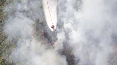 Melihat Pemadaman Kebakaran Lahan dari Udara di Sumsel