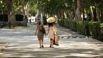 Paseo del Prado di Madrid Masuk Daftar Situs Warisan Dunia UNESCO