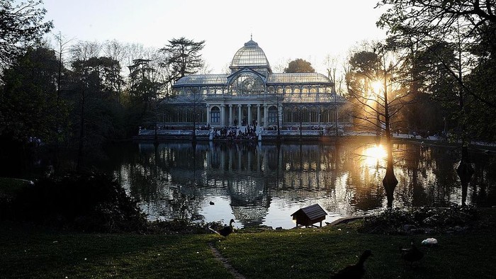 MADRID, SPAIN - FEBRUARY 04: General view of the Retiro park on February 04, 2021 in Madrid, Spain. Four weeks after the Filomena storm, the park still has no reopening date. Some 11,000 of the 17,000 trees in El Retiro have been affected and two out of every three trees are damaged according to data provided by the park management. Across the city there are an estimated 1.7 million trees, of which 800,000 have been damaged. (Photo by Carlos Alvarez/Getty Images)