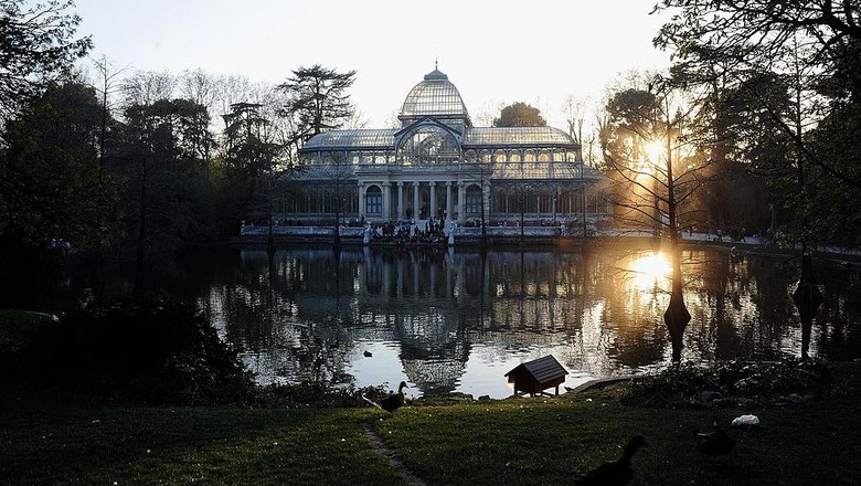 MADRID, SPAIN - FEBRUARY 04: General view of the Retiro park on February 04, 2021 in Madrid, Spain. Four weeks after the Filomena storm, the park still has no reopening date. Some 11,000 of the 17,000 trees in El Retiro have been affected and two out of every three trees are damaged according to data provided by the park management.  Across the city there are an estimated 1.7 million trees, of which 800,000 have been damaged. (Photo by Carlos Alvarez/Getty Images)