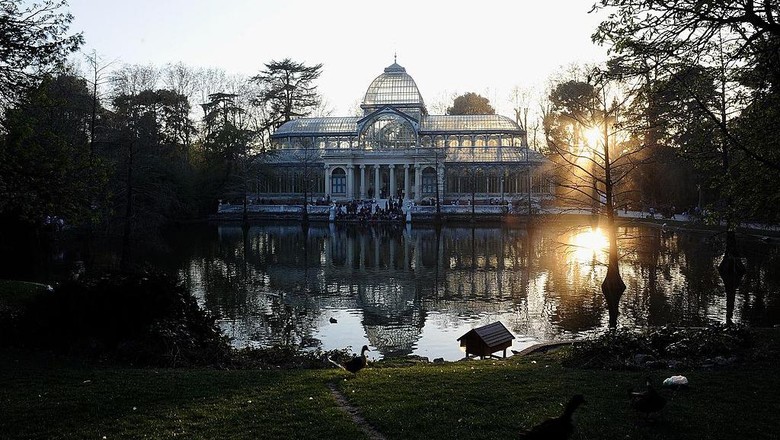 1300373204 MADRID, SPAIN - FEBRUARY 04: General view of the Retiro park on February 04, 2021 in Madrid, Spain. Four weeks after the Filomena storm, the park still has no reopening date. Some 11,000 of the 17,000 trees in El Retiro have been affected and two out of every three trees are damaged according to data provided by the park management. Across the city there are an estimated 1.7 million trees, of which 800,000 have been damaged. (Photo by Carlos Alvarez/Getty Images)