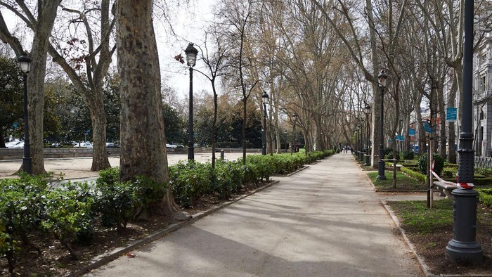 MADRID, SPAIN - FEBRUARY 04: General view of the Retiro park on February 04, 2021 in Madrid, Spain. Four weeks after the 'Filomena' storm, the park still has no reopening date. Some 11,000 of the 17,000 trees in El Retiro have been affected and two out of every three trees are damaged according to data provided by the park management.  Across the city there are an estimated 1.7 million trees, of which 800,000 have been damaged. (Photo by Carlos Alvarez/Getty Images)