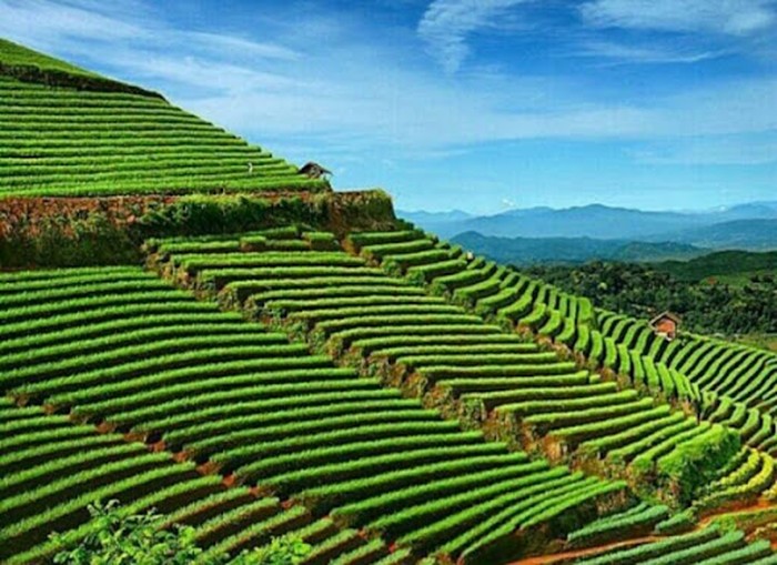 5 destinasi wisata alam pilihan