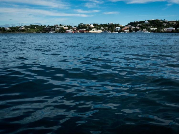 Bermuda Negara Terkecil Peraih Emas Olimpiade, Bebas Visa buat WNI