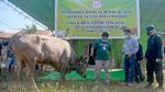 Aksi Sosial Membantu Sesama di Masa Pandemi