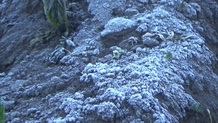 Embun Beku di Kaki Gunung Semeru