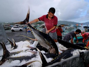 Top! Hasil Laut dari RI Sudah Diterima di 171 Negara Anggota PBB
