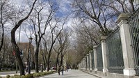 Selain Taman Retiro, jalan raya Paseo del Prado dengan deretan tanaman tua di tepi jalan kawasan Madrid juga masuk daftar itu. Kawasan itu merupakan salah satu tempat pertama di kota besar Eropa yang menjadi tempat warga menikmati waktu luang dan berjalan-jalan. Jimmyvillalta/Getty Images.