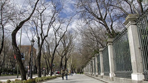 Jalan Raya Paseo del Prado di Madrid  masuk daftar situs warisan budaya dunia UNESCO pada Minggu (25/7/2021).