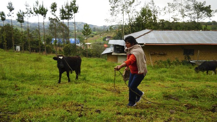 The future first lady of Peru, Lilia Paredes, 48, blows air through a hollow reed to get a fire going in her wood-burning stove in her adobe home in the rural hamlet of Chugur, Peru, Thursday, July 22, 2021. Her husband, leftist Pedro Castillo catapulted from unknown to president-elect with the support of the country's poor and rural citizens, many of whom identify with the struggles the teacher has faced. (AP Photo/Franklin Briceno)