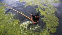 Pekerja melakukan aksi bersih-bersih dengan nyemplung langsung ke dalam kolam.