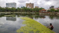 Kolam Kamal Pokhari merupakan salah satu kolam tertua dan bersejarah di Kathmandu, Nepal.