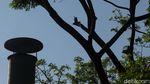 Krematorium Gratis untuk Jenazah COVID-19 di TPU Tegal Alur